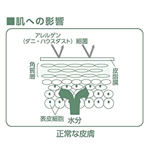 肌?髪の影響