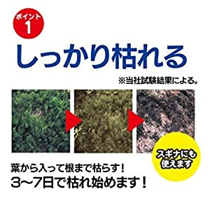 雑草の根までしっかり枯れる