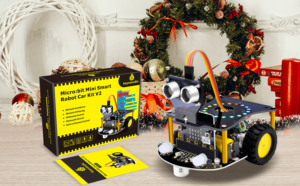 microbit robot 