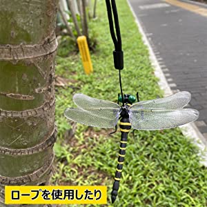 オニヤンマ　虫除け