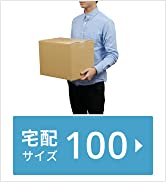 宅配100サイズダンボール