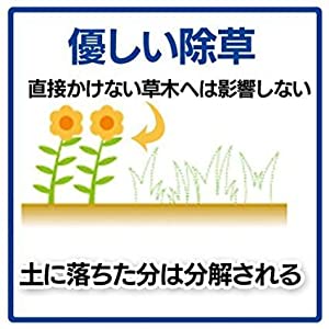 枯らせたい雑草だけを枯らすことができる