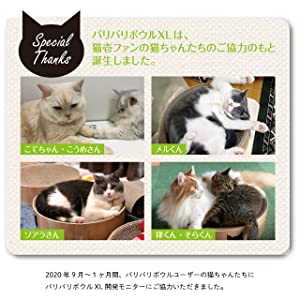 猫　猫壱　バリバリボウル