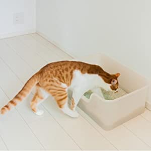 鉱物系猫砂に含まれるベントナイトなどの粉塵について?猫が吸い込んだ場合の安全性は大丈夫でしょうか？