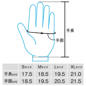 サイズ表