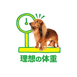 アイムス　IAMS