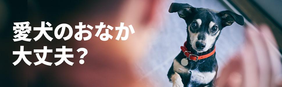 愛犬のおなか大丈夫？