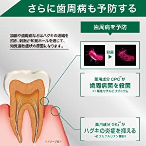 GUM ガム プロケア ハイパーセンシティブ 知覚過敏 知覚ホールフッ素 1450ppm ハミガキ 歯磨き 