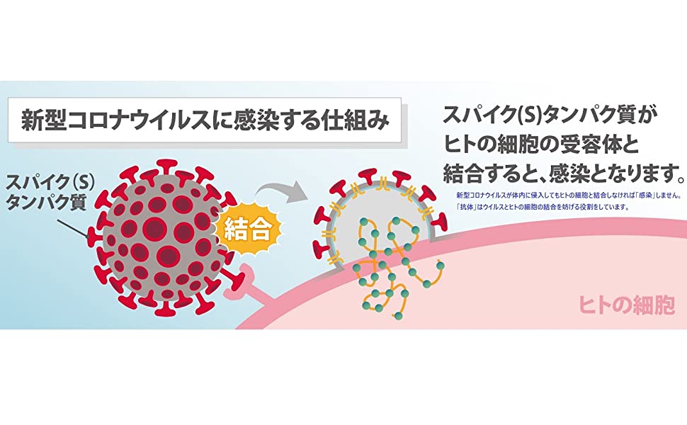 抗原検査キット感染する仕組み