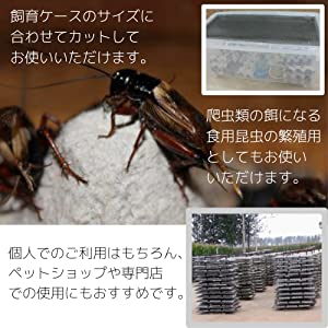 トカゲ 蛇 爬虫類 餌 昆虫の繁殖場 防音 吸音 対策 壁に貼る 環境 DIY 防音ルーム エコ 再生紙 未漂白 環境に優しい