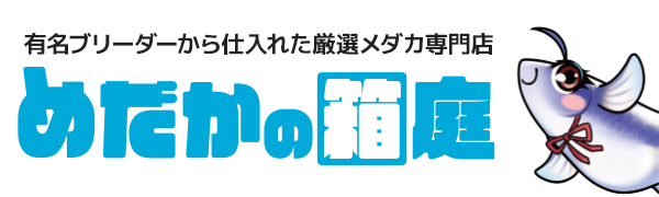 有名ブリーダーから仕入れた厳選メダカ専門店 めだかの箱庭