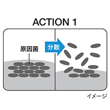 洗浄成分※1※2が、口臭の発生原因となる“菌のかたまり”を分散し、落としやすくします。