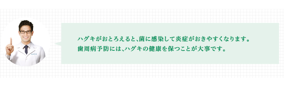 ハグキ おとろえ 炎症 歯周病 予防