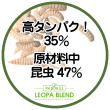 レオパ,ヒョウモントカゲモドキ,ペレット,昆虫食,爬虫類,常温保存,昆虫原料,高タンパク,嗜好性抜群