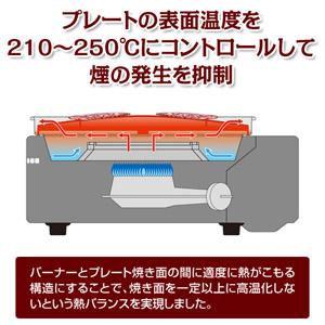 プレートの表面温度