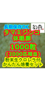 タマミジンコ 休眠卵 耐久卵 オオミジンコ クロレラ めだか 金魚 グッピー ベタ ミジンコ ワムシ イモリ ウーパールーパー 生クロレラ 活餌 えさ エサ 増殖 簡単