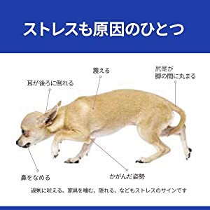 ストレスも原因のひとつ