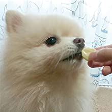 ペティオPetio犬用おやつ極上無添加ササミと野菜角切りタイプチーズ乳酸菌カルシウム入り着色料?保存料?酸化防止剤?香料無添加