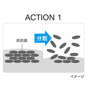 ACTION1