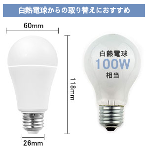 LED 100W