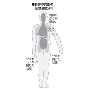 体温計 電子体温計