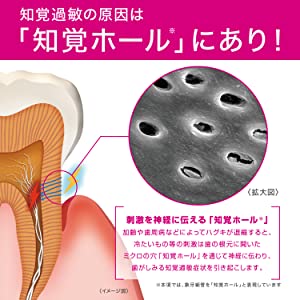 GUM ガム プロケア ハイパーセンシティブ 知覚過敏 知覚ホールフッ素 1450ppm ハミガキ 歯磨き 