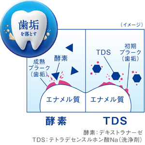 歯垢を落とす