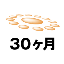 持続時間 ソーラー充電 太陽電持続時間 ソーラー充電 太陽電池池