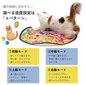 猫壱　猫　電動おもちゃ　キャッチ?ミー?イフ?ユー?キャン２