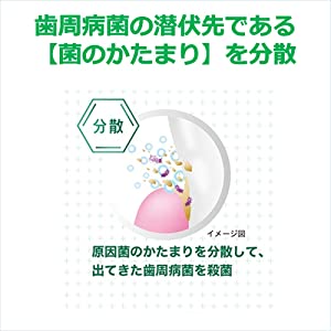 GUM ガム　歯周病　ウェルプラス