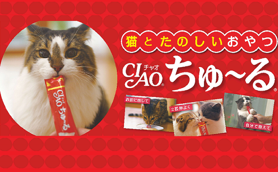 ちゅーる　ちゅ～る　チュール　ねこ　猫