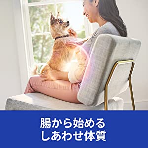 腸から始めるしあわせ体質