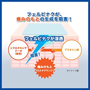 「フェルビナク」が痛みの原因物質の発生を阻害！