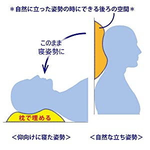 枕 pillow 医師がすすめる健康枕 医師枕 快眠 健康 東京西川 西川 EH98052512 肩こり 頭痛