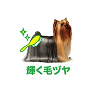 アイムス　IAMS