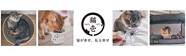 猫　猫壱　キャッチ?ミー?イフ?ユー?キャン２ 電動おもちゃ　くるくる回る　単３電池 夢中　可愛い　一人遊び