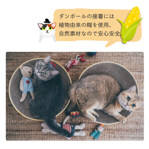 猫　猫壱　バリバリボウル