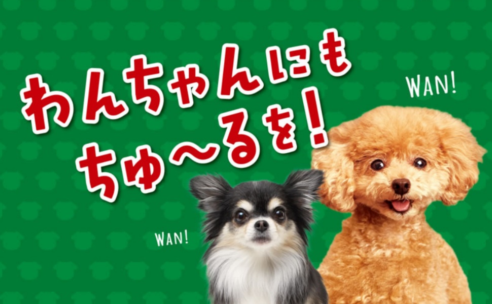 いなば 犬用 ちゅーる