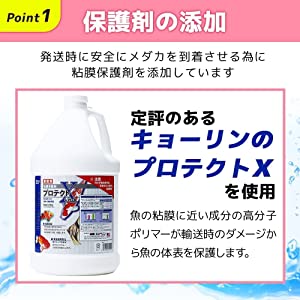 保護剤の添加