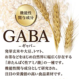 GABAとは