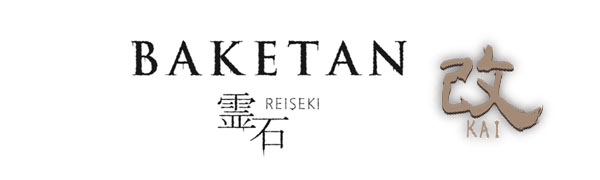 おばけ探知機 ばけたん BAKETAN 霊石 REISEKI 改 KAI