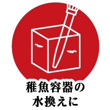 メダカ,繁殖,グッズ,メンテナンス,水換え,掃除,フン,残餌,メダカ元気