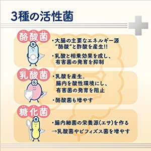 ３種の活性菌