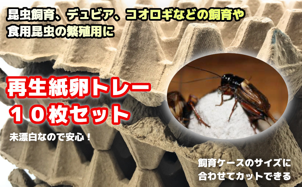 卵入れ タマゴケース タマゴ入れ タマゴ 箱 飼育 繁殖 最適 トカゲ 蛇 爬虫類 餌 昆虫の繁殖場 防音 吸音 対策 壁に貼る 環境 DIY 防音ルーム エコ 再生紙 未漂白 環境に優しい