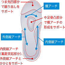 しゅんそく 駿足 俊足 ジュニア 男子 女子 ボーイズ ガールズ スクール 小学校 子供 靴 子供靴 通学履き 運動会 通園 通学 そくいく 瞬足 保育園 幼稚園 キッズ 足育 健康 キャロット