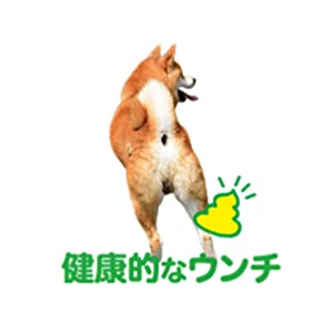 アイムス　IAMS