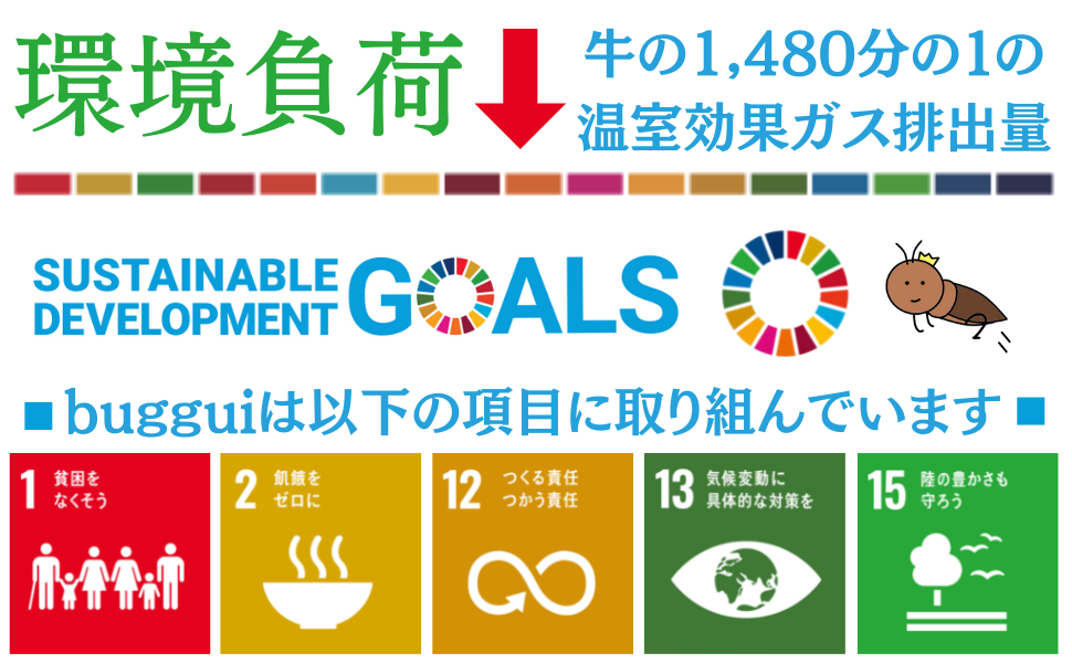 SDGs