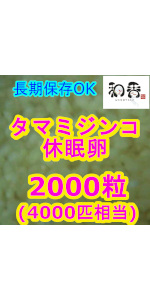 タマミジンコ 休眠卵 耐久卵 オオミジンコ クロレラ めだか 金魚 グッピー ベタ ミジンコ ワムシ イモリ ウーパールーパー 生クロレラ 活餌 えさ エサ 増殖 簡単