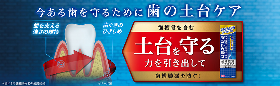 デントヘルス 今ある歯を守るために歯の土台ケア