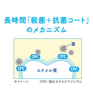 長時間殺菌コート